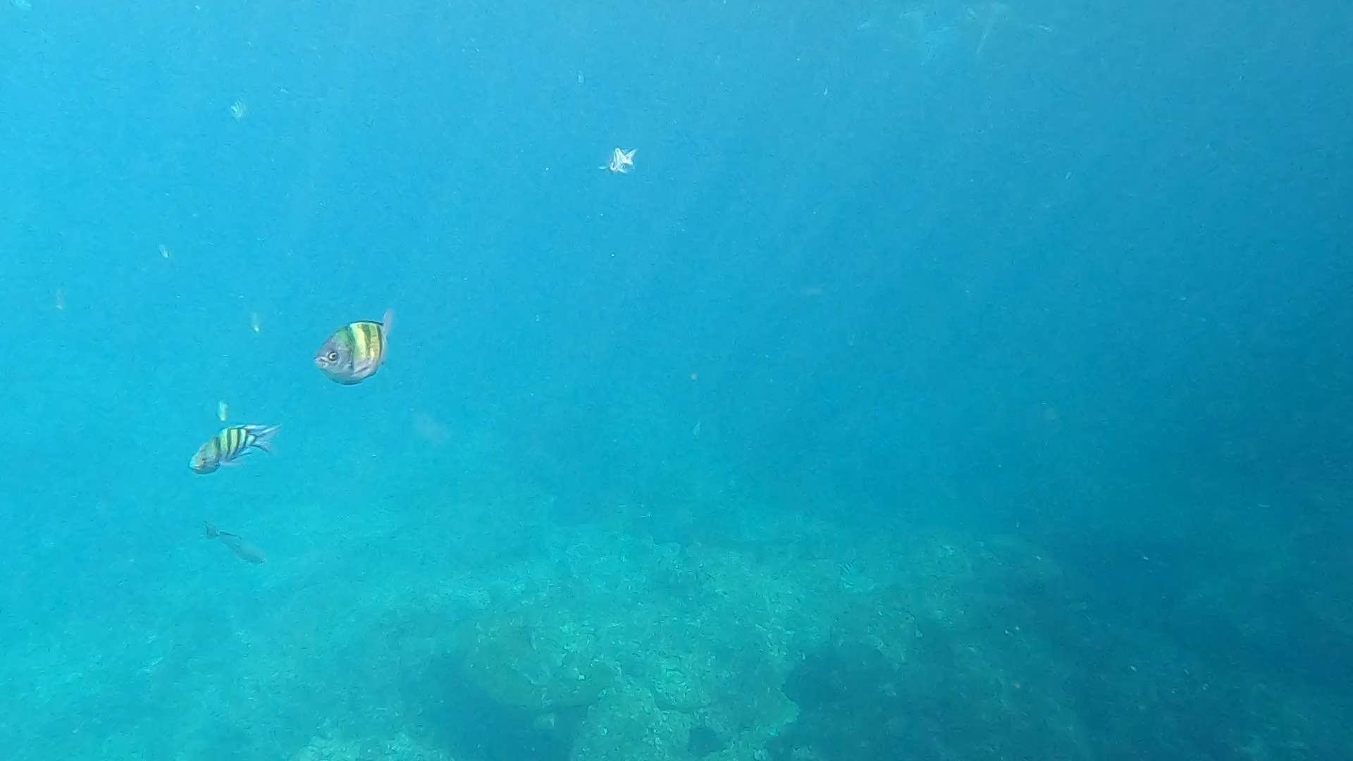 Underwater Tourism